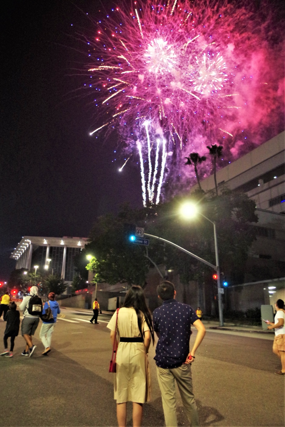 Los Angeles New Year Celebration, USA 2023
